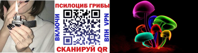 где купить   Орехово-Зуево  Псилоцибиновые грибы мицелий 